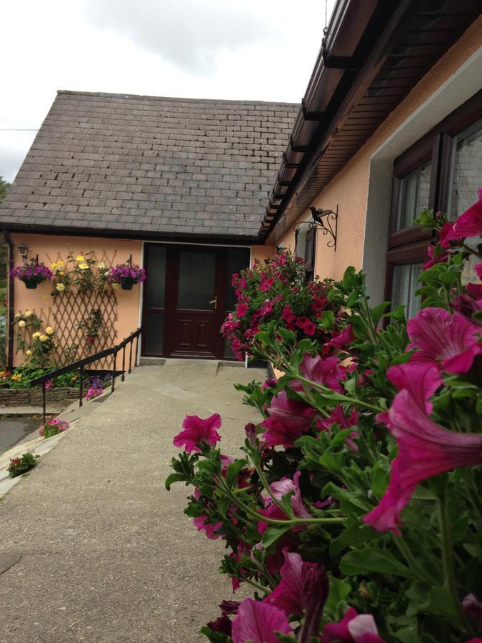 Eriu Lodge Clifden Eksteriør bilde